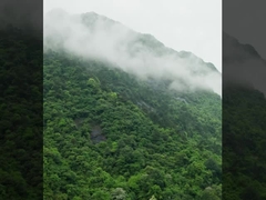 Hệ thống máy bay không người lái DJI FC30 FlyCart 30 được sản xuất bởi MYUAV