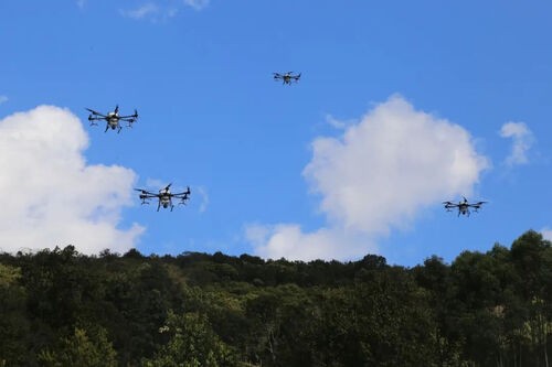 tin tức mới nhất về công ty Pu'er: Ứng dụng UAV đưa "cánh của khoa học và công nghệ" vào bảo vệ tài nguyên rừng và đồng cỏ